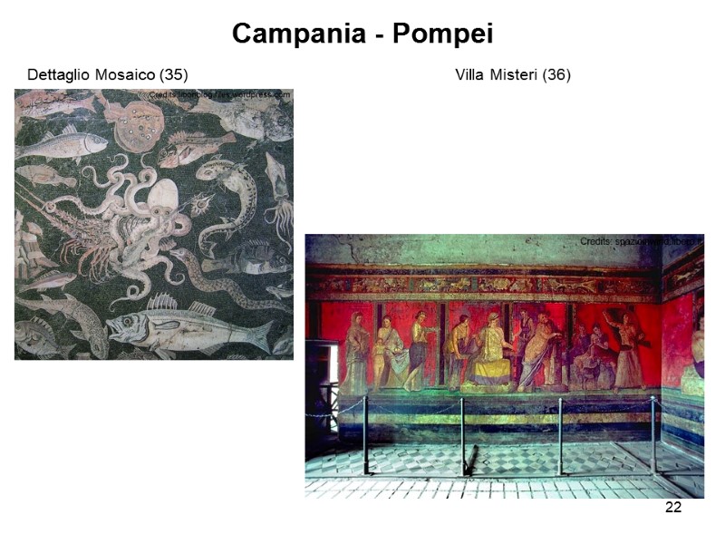 22 Campania - Pompei Dettaglio Mosaico (35)       